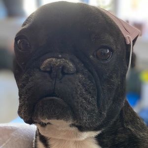 Meet your Posher, Cameron